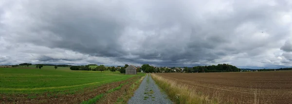 Panoramatický Záběr Úzké Cesty Obklopené Zemědělskými Poli Pod Zataženou Oblohou — Stock fotografie