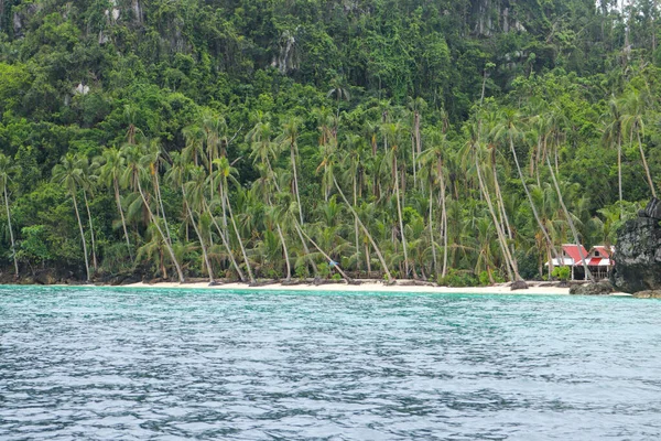 菲律宾的一个小岛上有棕榈树的热带天堂般的海滩 — 图库照片