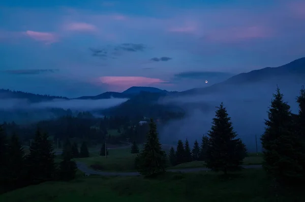 Nebel Über Den Bäumen Den Bergen Der Dämmerung Dämmerung Dunst — Stockfoto