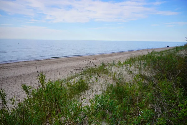 ポーランド ポビエローの最前景に植物のある砂浜の美しい景色 — ストック写真