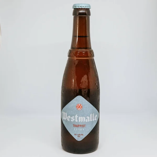 Glass Bottle Westmalle Trappist Extra Beer Isolated Gray Background — Stock Photo, Image