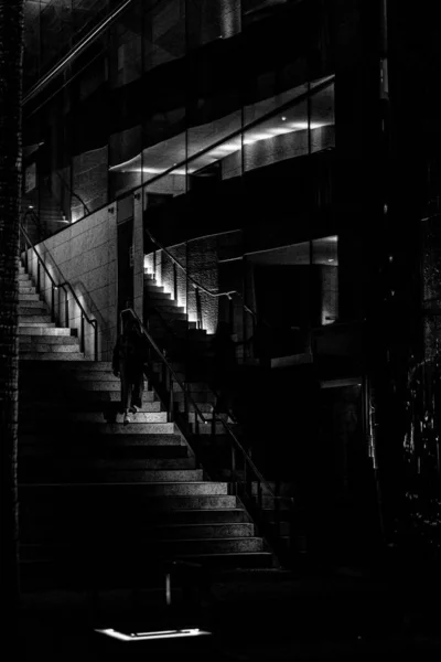 Vertical Shot Stairs Facing Embankment Reflected Windows Building Night Grayscale — Stock Photo, Image