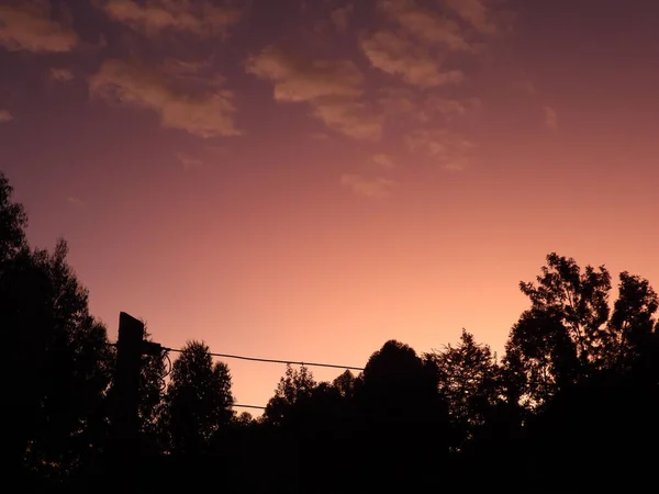 Una Vista Panorámica Cielo Rosado Atardecer Silueta Copas Árboles Una — Foto de Stock