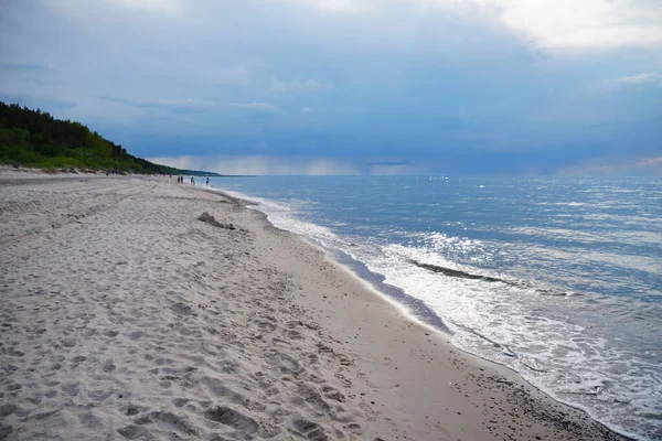 Чудовий Краєвид Піщаний Пляж Лісом Задньому Плані Побієрово Польща — стокове фото