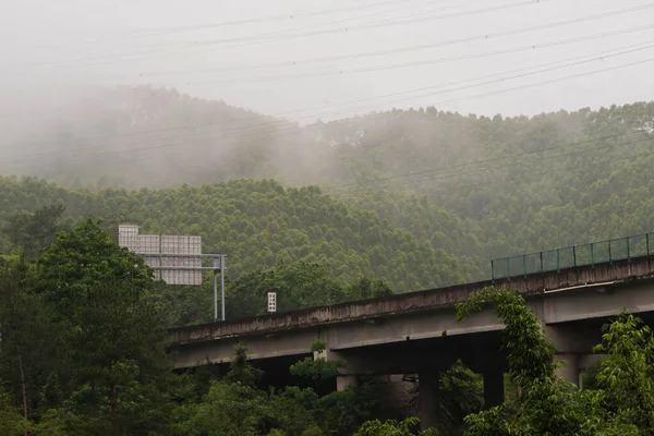 Een Natuurlijk Uitzicht Een Brug Boslandschap Tijdens Een Mistige Ochtend — Stockfoto