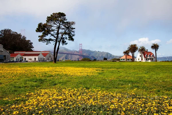 Beautiful Shot Green Farmland Trees Palms Rural Houses Golden Gate — Stock Photo, Image