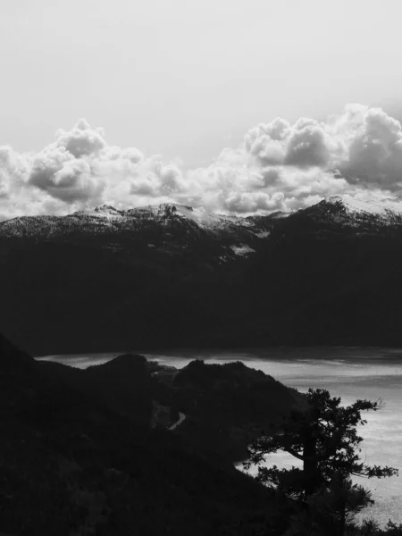 Bir Rezervin Yanındaki Karlı Dağların Dikey Gri Ölçekli Görüntüsü — Stok fotoğraf