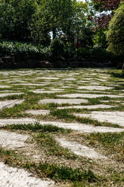 在中国上海的一个公园里 在铺路石之间垂直地生长着一缕青草 — 图库照片