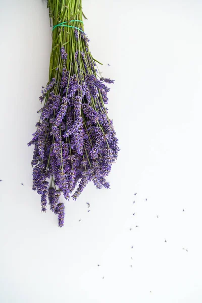 Vertical Shot Bunch Beautiful Purple Lavander White Background — Stock Photo, Image