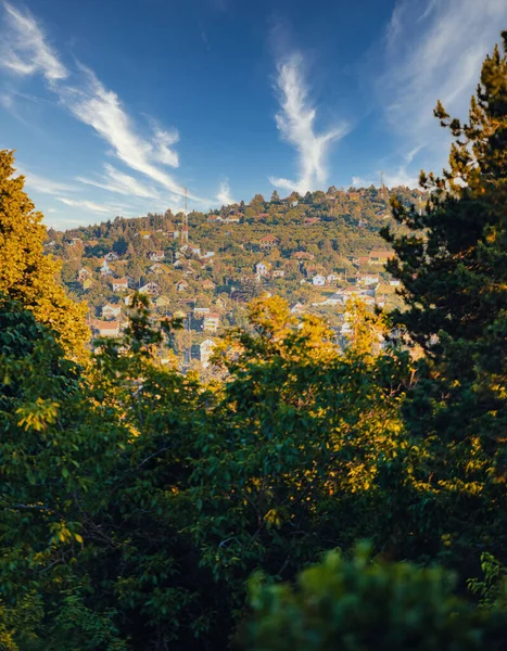 Eine Vertikale Aufnahme Von Dorfhäusern Auf Einem Hügel Der Herbst — Stockfoto