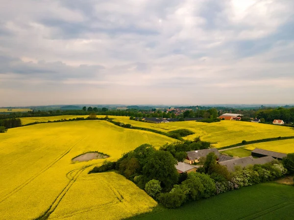 Flygfoto Över Ett Vackert Fält Mulen Dag Boeslunde Danmark — Stockfoto