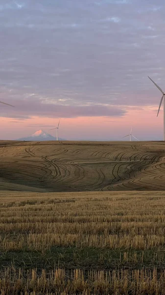 草原や風車の垂直ショット 持続可能な気候ビジュアル — ストック写真