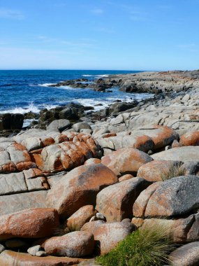 Tazmanya, Avustralya 'daki St. Helens yakınlarındaki Four Mile Creek Plajı' ndaki sahil şeridi manzarası