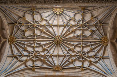 İspanya 'nın Salamanca katedralindeki bir şapelde ayrıntılı katlanmış ve süslü bir tavan.