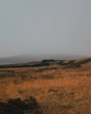 Bulutlu bir gökyüzünün altındaki dağlık bir arazide bir tarla.
