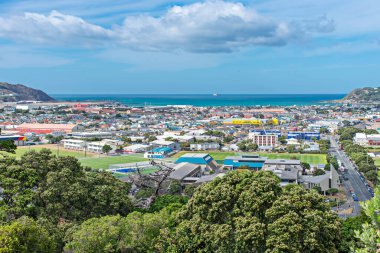 Wellington yaz sonu, Kilbirnie ve Lyall Bay 'in banliyöleri. Havaalanı, aşçı boğazı ve feribot görülebilir.
