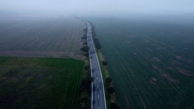 Kasvetli bir günde ağaçlarla çevrili boş bir yolun havadan görünüşü.