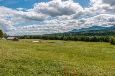 Yoğun orman ve dağların arkasındaki yeşillik alanının havadan görünüşü