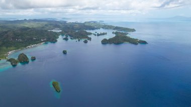 Orman ve palmiye ağaçlarıyla kıyı şeridi, lagün ve mercan resifi turkuaz su, mevsim burnu, tropikal ada ile kaplı yeşil orman, Filipinler