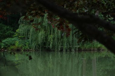 Harrisonburg, Virginia, ABD 'de göl ve ağaçlı güzel bir manzara.