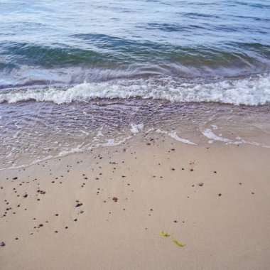 Pobierowo, Polonya 'da dalgalı bir sahilde çakıl taşlarının yakın plan çekimi.