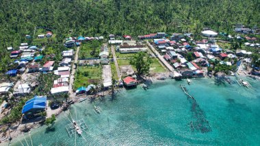 Filipinler 'de ağaçlar ve evler olan bir adada güzel bir sahil manzarası.