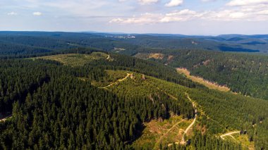 Almanya 'da sık ağaçlı Thüringen Ormanı' nın havadan görünüşü