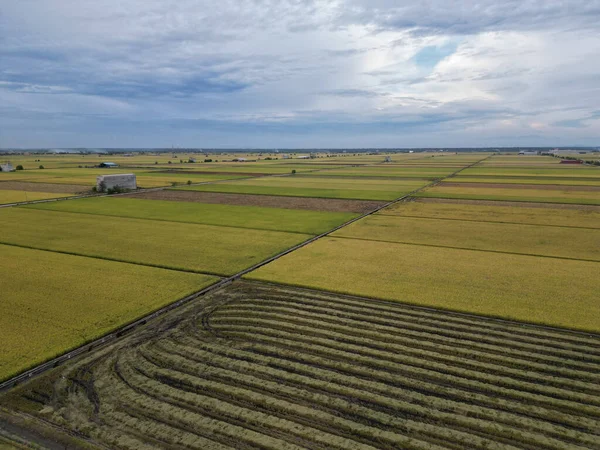 Una Vista Aérea Grandes Campos Agrícolas Sobre Fondo Azul Cielo — Foto de Stock