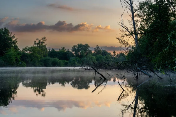 緑の木々とピンクの夕日を反射する湖の中の裸の枝の景色 — ストック写真