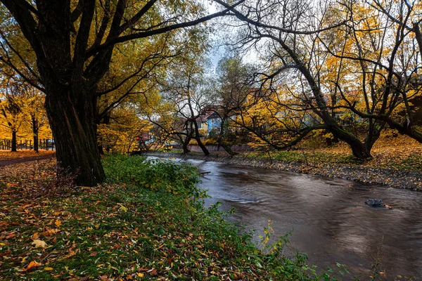 背景に建物が立ち並ぶ秋のカラフルな木々を流れる小川の息をのむような景色 — ストック写真