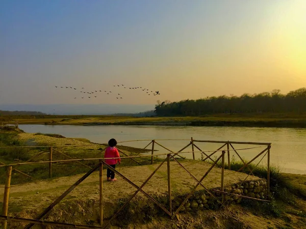 Een Schilderachtig Uitzicht Een Kind Kijkend Naar Groep Vogels Vliegend — Stockfoto