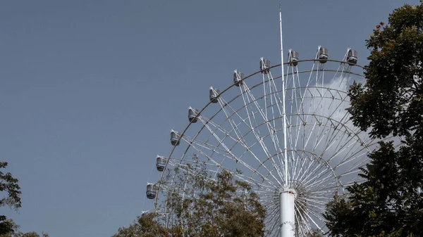 Ferris Wheel Surrounded Foliage — Stock Photo, Image