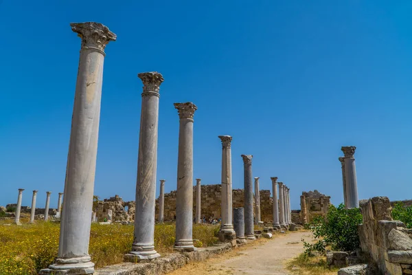 Colunas Gregas Cidade Antiga Salamis Chipre — Fotografia de Stock