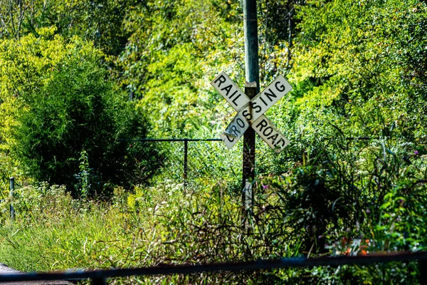 Närbild Bild Järnvägen Korsning Skylt Bland Träd — Stockfoto