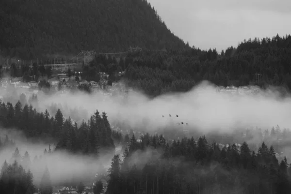 Eine Frühen Morgen Neblige Landschaft Mit Häusern Und Dichten Bäumen — Stockfoto