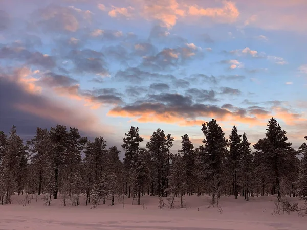 스웨덴의 아름다운 비스듬 — 스톡 사진