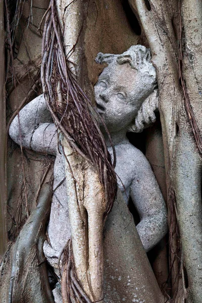 Colpo Verticale Statua Del Bambino Intrappolato Nelle Radici Degli Alberi — Foto Stock