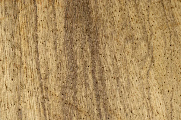 Textura Uso Madeira Casca Como Fundo Natural — Fotografia de Stock