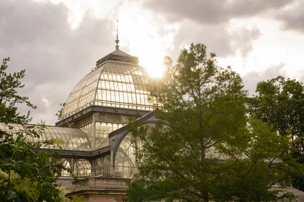 Szklany Pałac Palacio Cristal Drzewami Parku Retiro Madryt Hiszpania — Zdjęcie stockowe