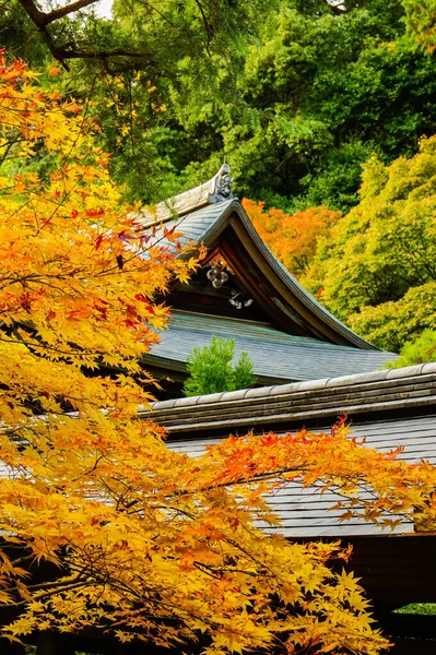 秋の木々に囲まれた中国の伝統的な建物の屋上の垂直ショット — ストック写真