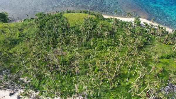 Eine Schöne Luftaufnahme Einer Insel Mit Palmen Und Meer Einem — Stockfoto