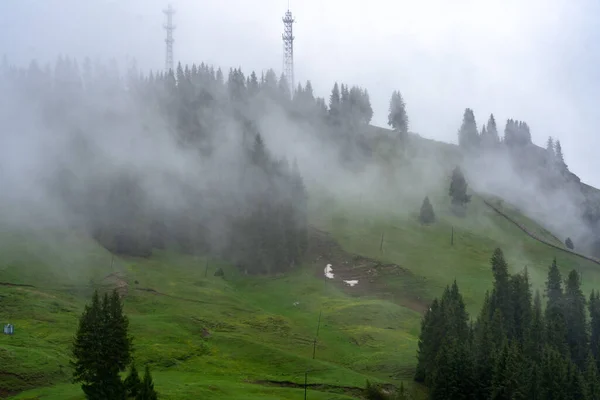 Прекрасний Вид Схили Гірських Лісів Тумані — стокове фото