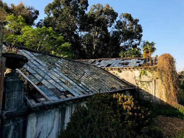 背景には木と青空を望む古代の建物のガラス屋根 — ストック写真