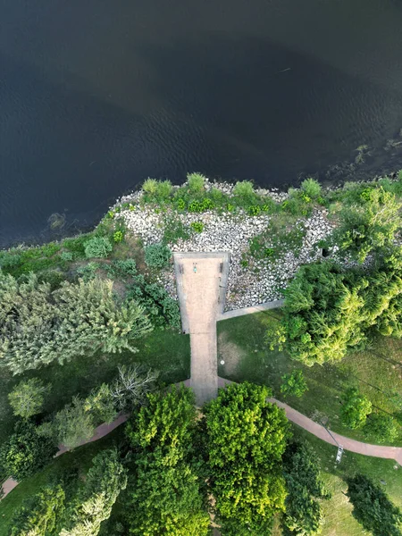 Uma Vista Drone Uma Bela Floresta Perto Belo Mar — Fotografia de Stock