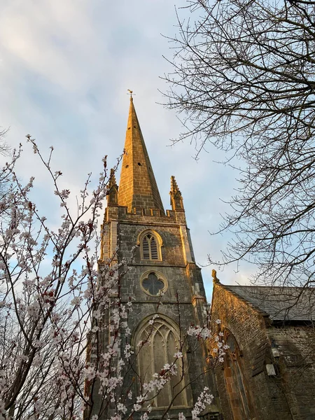 Vertical Shot Blooming Tree Branches Background Helen Church Abingdon — Stock Photo, Image