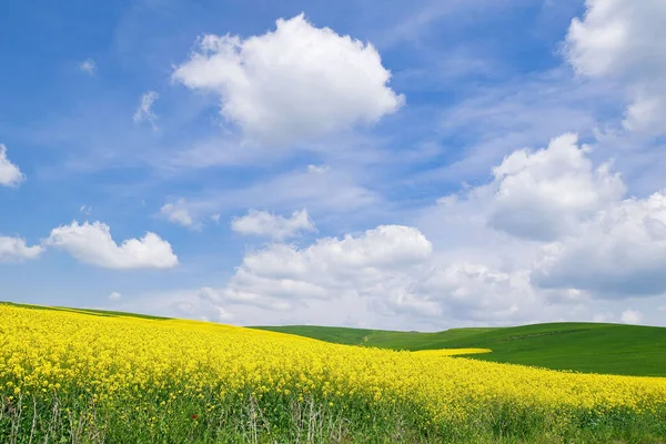 Landbouwlandschap Velden Lente Bloeiend Met Prachtige Lucht Met Wolken — Stockfoto