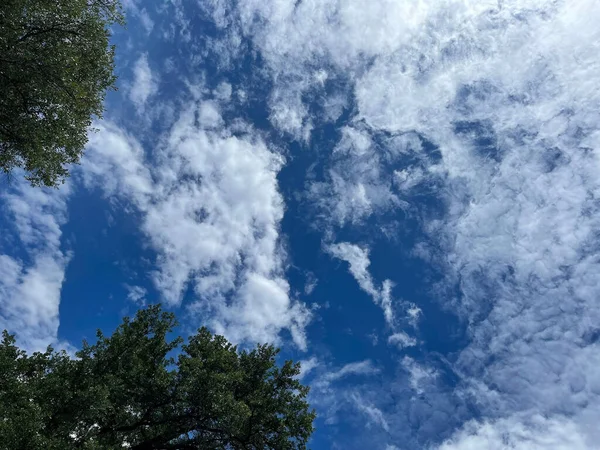 Tiro Ângulo Baixo Céu Azul Com Nuvens Fofas Sobre Uma — Fotografia de Stock