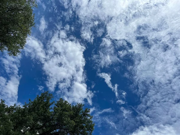 Låg Vinkel Skott Blå Himmel Med Fluffiga Moln Över Skog — Stockfoto