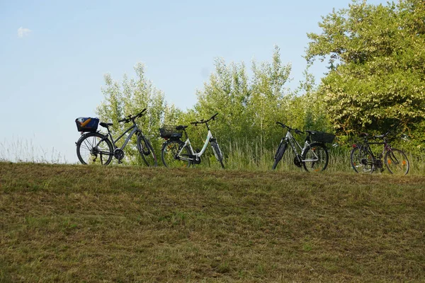 Uma Vista Panorâmica Quatro Bicicletas Uma Área Rural Rheindamm Alemanha — Fotografia de Stock