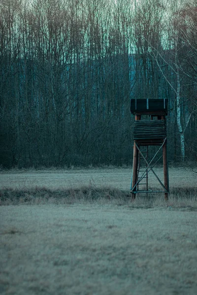 Disparo Vertical Una Torre Caza Campo Con Árboles Sin Hojas —  Fotos de Stock